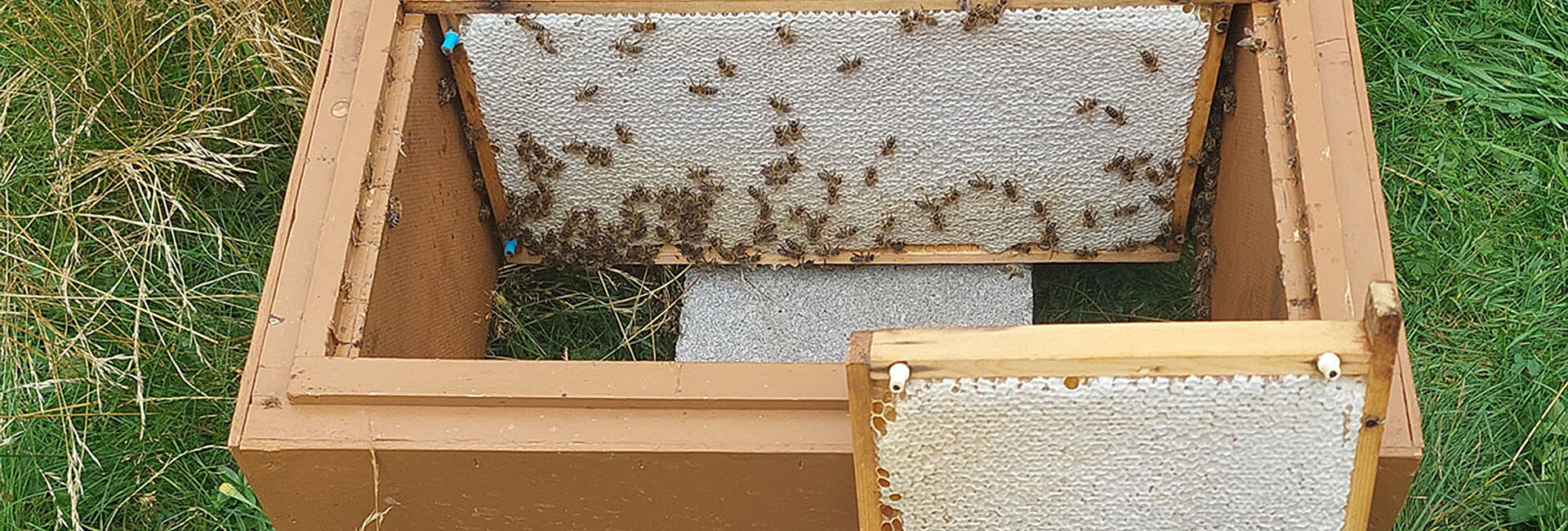 Miele pronto per essere centrifugato